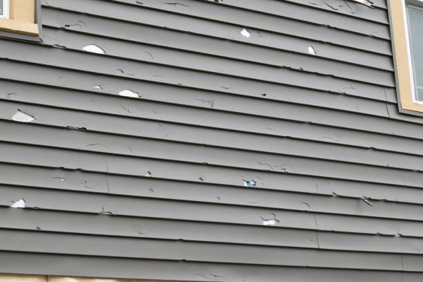 Best Custom Trim and Detailing for Siding  in La Crescenta Montrose, CA