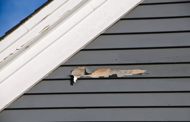 Best Custom Siding Design  in La Crescenta Montrose, CA